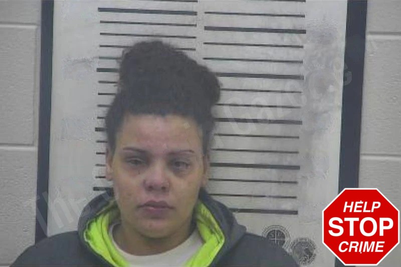 Torey Vining Mugshots