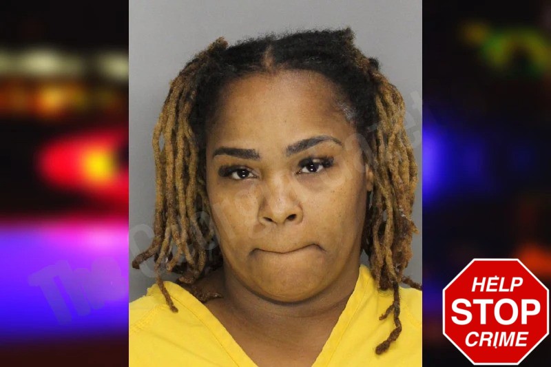 Toshena Haynes mugshot