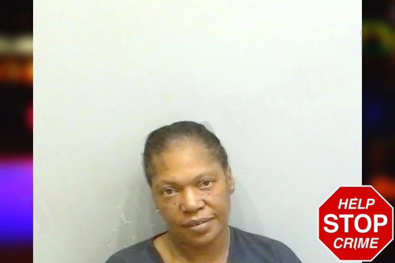 Toshia Johnson Mugshots