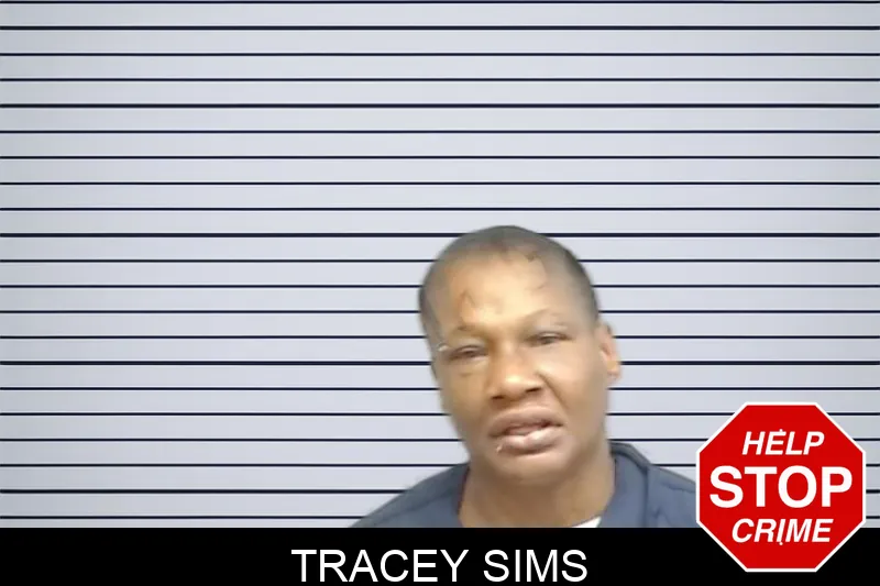 Tracey Sims Mugshots