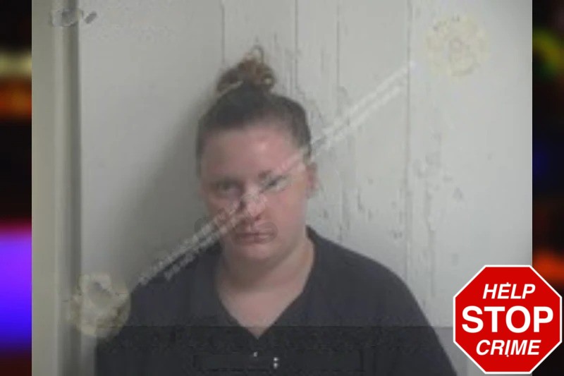 Traci Skinner mugshot