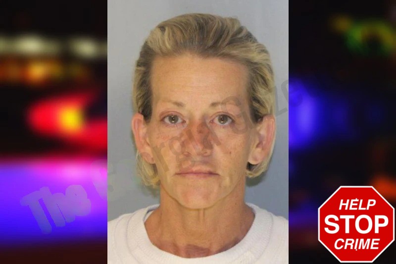 Tracie Palmour Mugshots