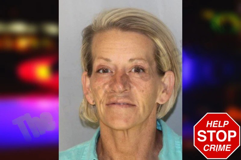 Tracie Palmour mugshot – Hall County , Georgia Tracie Palmour mugshot