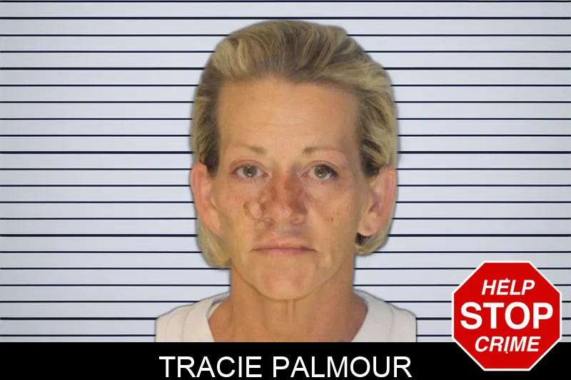Tracie Palmour Mugshots