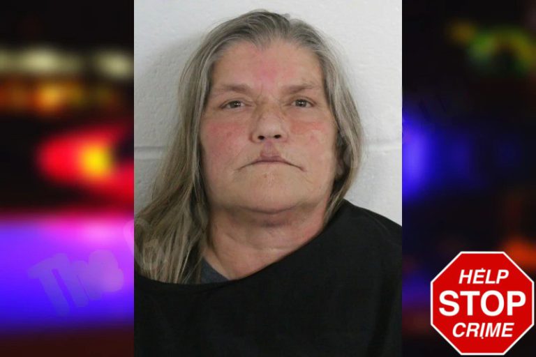 Tracy Brock mugshot – Floyd County , Georgia Tracy Brock