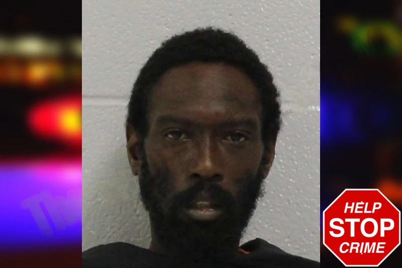 Tracy Freeland Mugshots