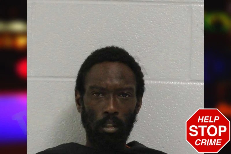 Tracy Freeland Mugshots