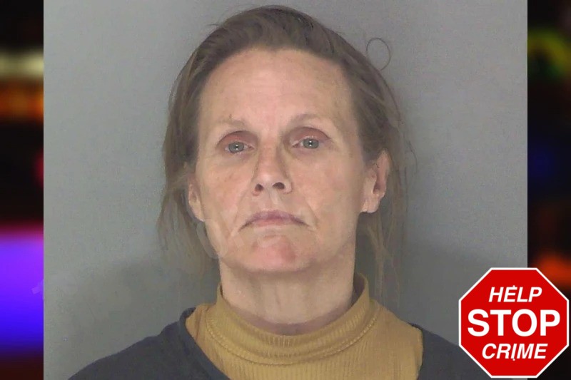 Tracy Hedgecock mugshot – Douglas County , Georgia Tracy Hedgecock mugshot