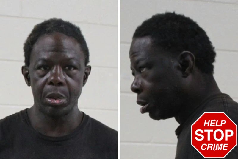 Tracy Lawson Mugshots