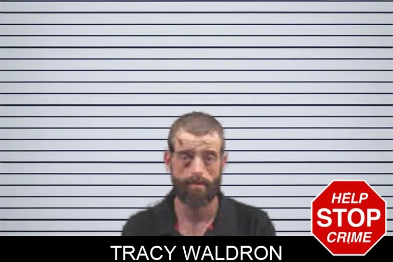 Tracy Waldron