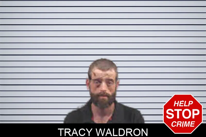 Tracy Waldron Mugshots