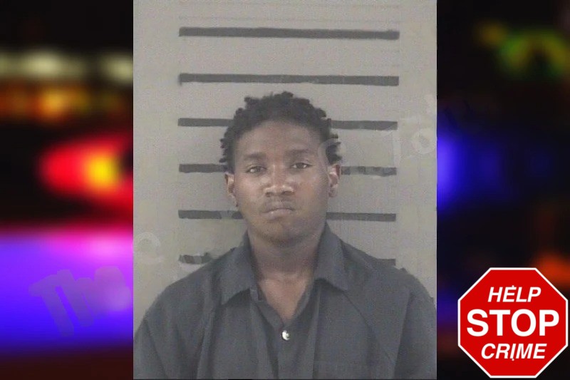 Tre’Vion Davis Mugshots