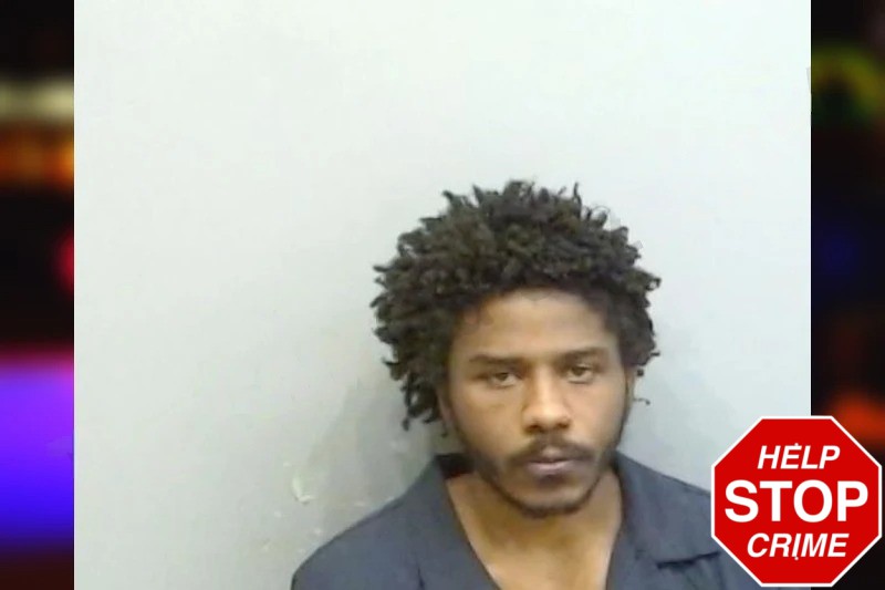 Trelyn Meadors mugshot