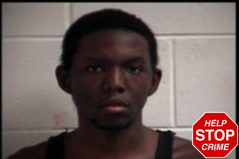 Trenton Herbert mugshot