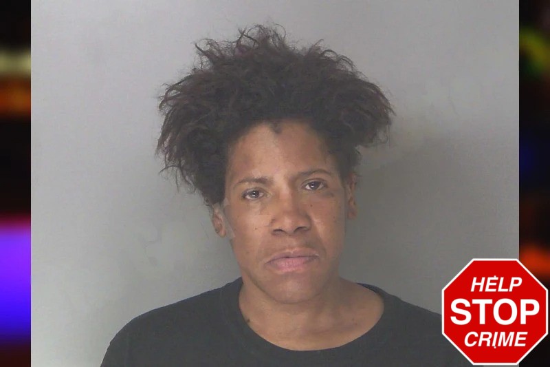 Treshia Dave mugshot