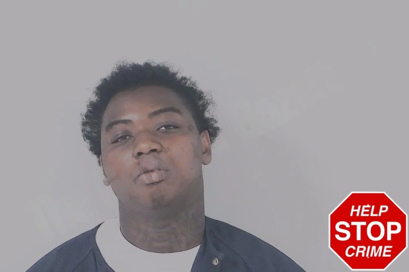 Trevion McGee Mugshots