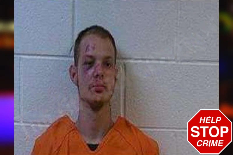 Trevor Wagner Mugshots