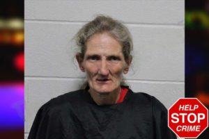 Trina Sosebee mugshot