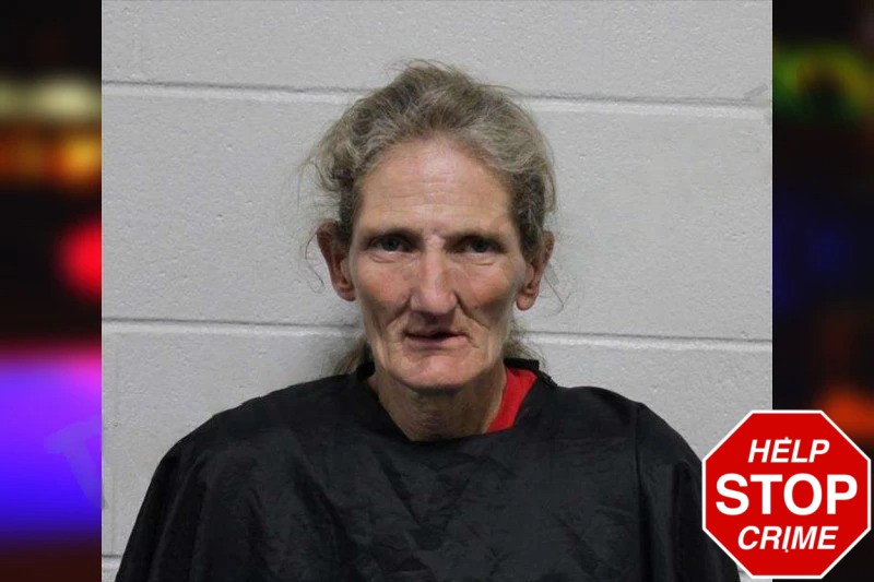 Trina Sosebee mugshot – Habersham County , Georgia Trina Sosebee mugshot