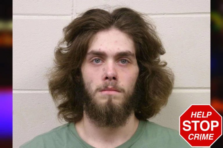 Tristan Nunnelee mugshot – Bulloch County , Georgia Tristan Nunnelee