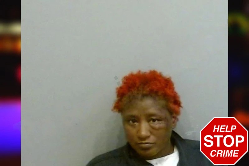 Tybrina Nickens Mugshots