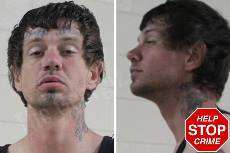 Tyler Estes mugshot – Houston County , Georgia Tyler Estes mugshot