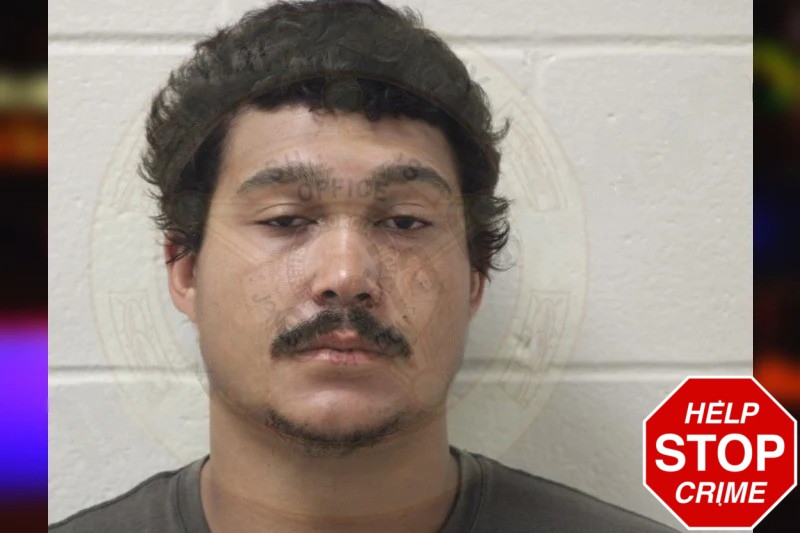 Tyler Murphy Mugshots