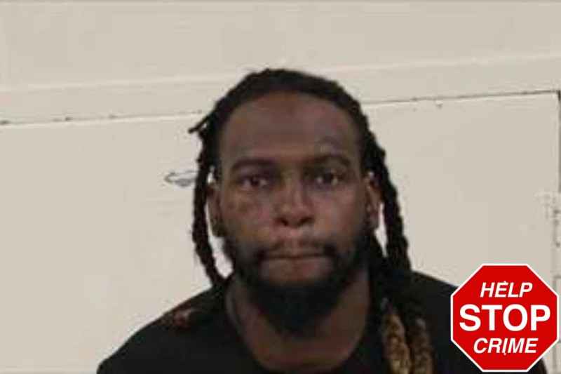 Tyler Taylor Mugshots