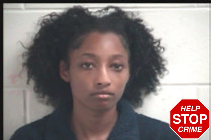 Tyra Blocker mugshot – Henry County , Georgia Tyra Blocker mugshot