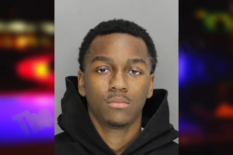 Tyran McMillian mugshot