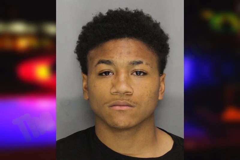 Tyriq Gaines Mugshots