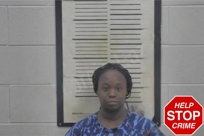 Tywanda Brockington Mugshots