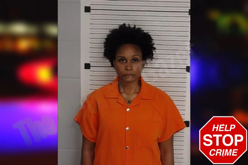 Unique Johnson Mugshots