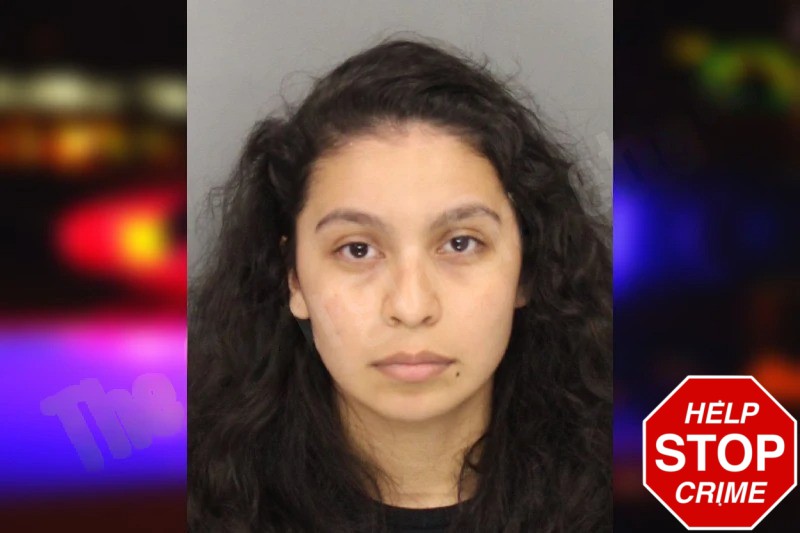 Valeria Vasquez mugshot