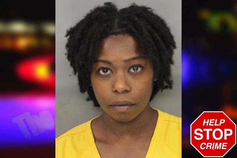 Valerie Pierre mugshot