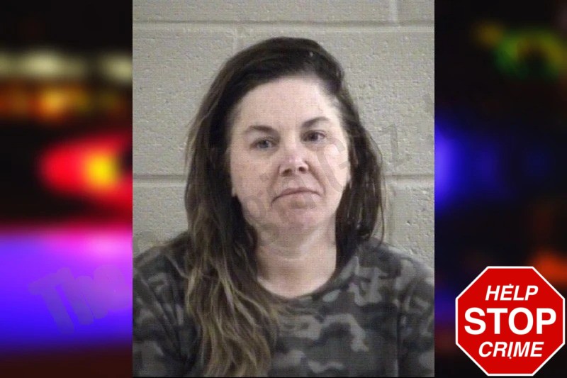 Valerie Teman Mugshots