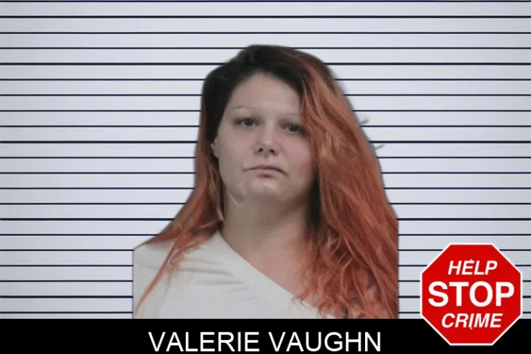 Valerie Vaughn mugshot – Catoosa County , Georgia Valerie Vaughn