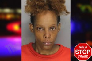 Vanessa Berry mugshot