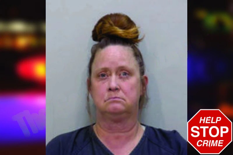 Vanessa Dillard Mugshots