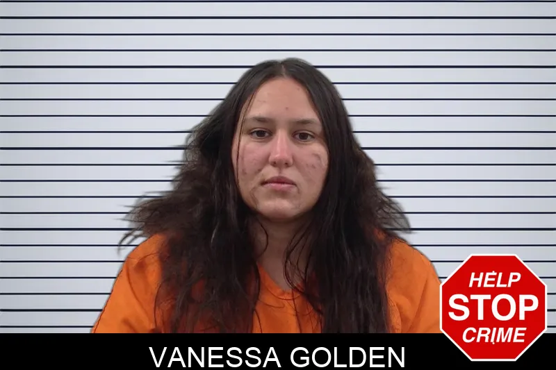 Vanessa Golden Mugshots