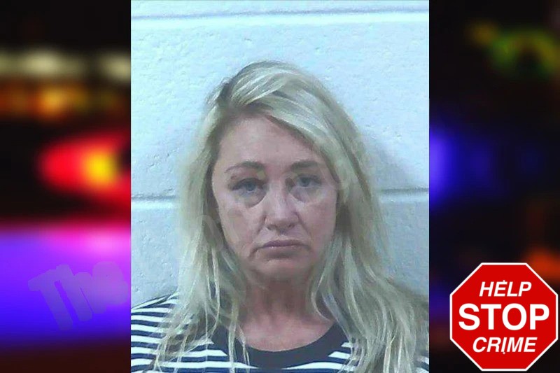 Vanessa Nash Mugshots