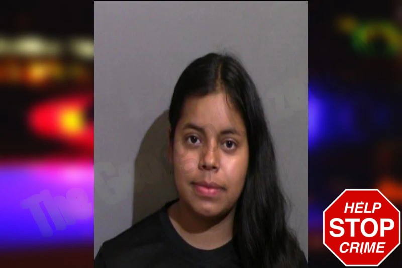 Vanessa Sandoval Mugshots