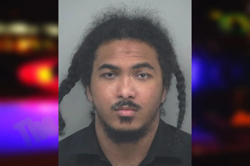 Vericke Houlker Mugshots