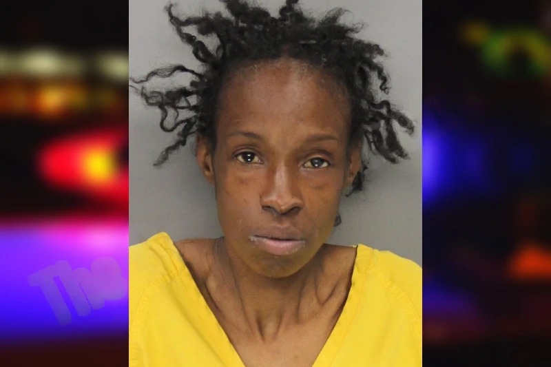 Vernita Harris mugshot