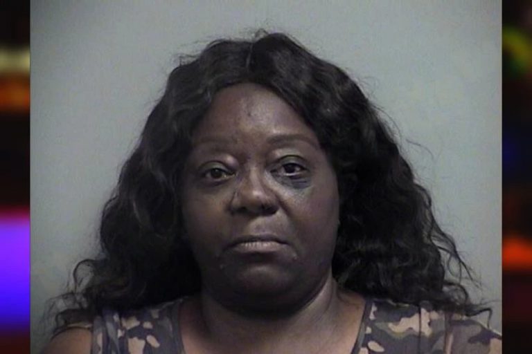 Veronica Lee mugshot β Effingham County , Georgia Veronica Lee