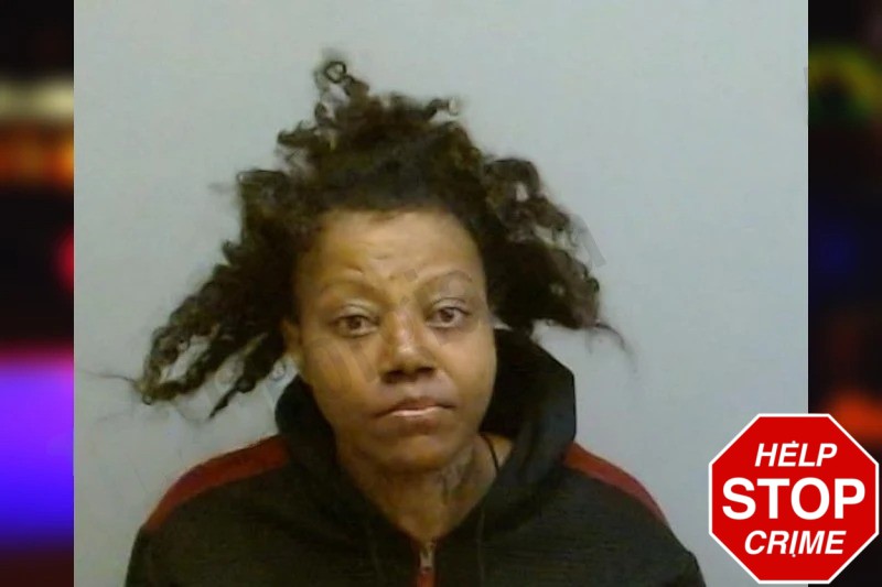 Veronica Ryals mugshot – Fulton County , Georgia Veronica Ryals mugshot