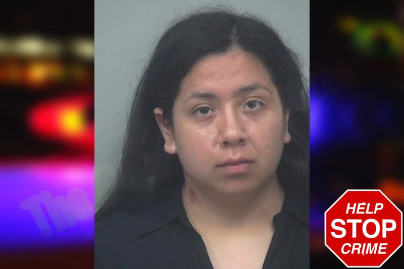 Veronika Galvan Mugshots