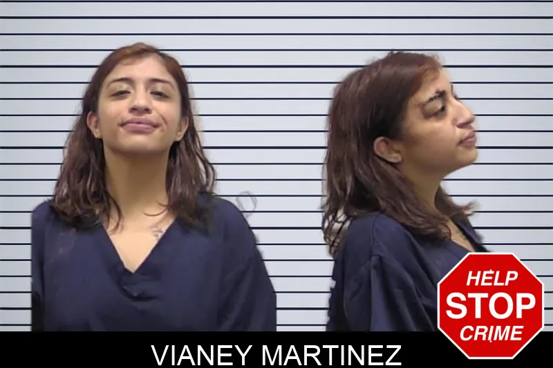 Vianey Martinez Mugshots