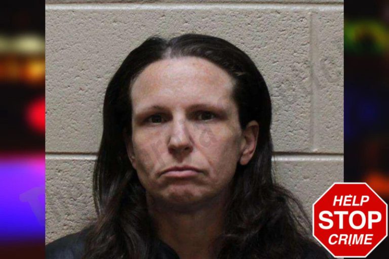 Vickie Gillion mugshot – Haralson County , Georgia Vickie Gillion