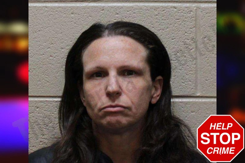 Vickie Gillion mugshot